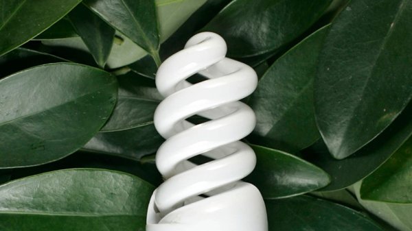 高市早苗：不排除因能源价格高企要求民众节电节能